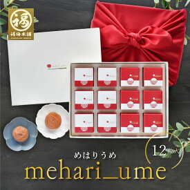 敬老の日 梅干し ギフト プレゼント 熱中症対策 敬老の日 内祝い お祝い お返し お礼 梅 はちみつ梅 減塩 のし 包装 常温 送料無料※北海道・沖縄を除く国産 贈答 個包装 クエン酸 免疫力アップ紀州南高梅 超大粒の梅干mehari_ume めはりうめ