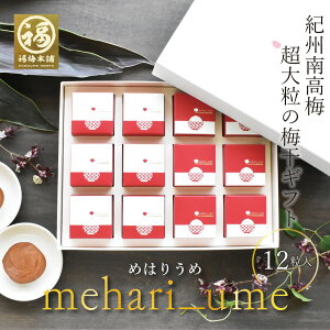 hV̓ ~ Mtg v[g j j Ԃ  ~ ݂͂~  kCEY   NG_ Ɖu̓AbvIB썂~ 嗱̔~mehari_ume 