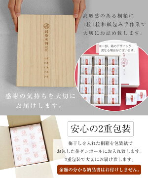 【紀州特選南高梅】華結(はなむすび)15粒入!2種類のはちみつ梅から選択可能!お年賀/敬老の日/お誕生日/お歳暮/記念日プレゼントに人気のギフト梅干【国産紀州南高梅100%使用】【RCP】