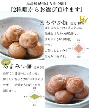【紀州特選南高梅】華結(はなむすび)15粒入!2種類のはちみつ梅から選択可能!お年賀/敬老の日/お誕生日/お歳暮/記念日プレゼントに人気のギフト梅干【国産紀州南高梅100%使用】【RCP】