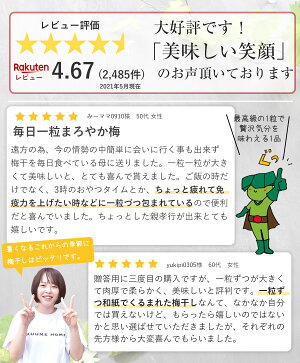 母の日早割ギフト送料無料梅干しはちみつ梅減塩国産プレゼント免疫力アップ疲労回復※北海道・沖縄を除くグルメ大賞受賞!最高級紀州はちみつ梅2種類のお味を選べる♪【当店一番人気!華結15粒入!】