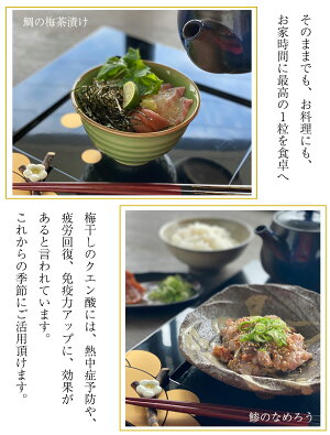 【紀州特選南高梅】華結(はなむすび)15粒入!2種類のはちみつ梅から選択可能!お年賀/敬老の日/お誕生日/お歳暮/記念日プレゼントに人気のギフト梅干【国産紀州南高梅100%使用】【RCP】
