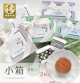 お歳暮 梅干し ギフト プレゼント プチギフト はちみつ梅干し 送料無料 おしゃれ 個包装 お返し 国産 お取り寄せ 結婚祝い イベント 引き出物 景品 お礼 変わり種 メッセージカード無料3色から選べる 2種類の味入り【小箱 2粒入り/4粒入り】