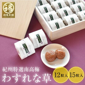 法事 お返し お供え物 香典返し 梅干し はちみつ梅 はちみつ減塩 紀州南高梅 高級 お彼岸ギフト プレゼント 包装 ラッピング 熨斗 名入れ わすれな草12粒/15粒入 【あす楽15時(※土日祝を除く)】