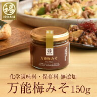 万能調味料 無添加 梅 味噌 おかず味噌 調理みそ 梅味噌 ご飯のお供 紀州南高梅 梅みそ 信州味噌 辛口 化…