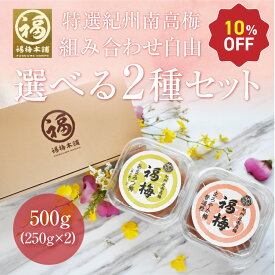 ＼スーパーセール10％OFF／梅干し ギフト プレゼント 内祝い お祝い お返し 梅 はちみつ梅 減塩 国産 贈答 ラッピング 個包装グルメ大賞受賞！和歌山県産 産地直送梅干 お取り寄せ お好みの2パックセット 【あす楽15時(※土日祝を除く)】