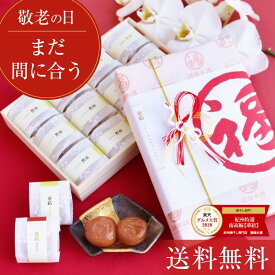 【10月～価格改定】 まだ間に合う 敬老の日 梅干し 個包装 プレゼント ギフト 送料無料 無添加 減塩 はちみつ梅 常温 国産 お祝い お礼 お返し グルメ大賞受賞！ 最高級紀州はちみつ梅 【華結 12粒/15粒入 】※化学調味料・着色料・保存料不使用はしそ漬け、白干梅のみ