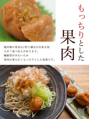 【送料無料】【ギフト包装不可】本格派梅干し:塩と紫蘇だけで漬けた昔ながらの無添加の梅干「しそ漬・福梅ぼし(無選別品)1kg」ご奉仕品