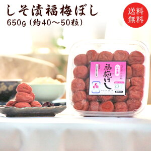yzyYzЕ~ڂ650ĝȂ/䌧Y/Mtg/yY/_ς蕨/~/yY/oYj/jo/TԂ/Cj/j/j/e{yyΉiz 