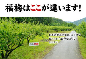 訳あり梅干し【送料無料】規格外あっさりはちみつ1kg(約50〜60粒)塩分約7%食品福梅ぼし紅映梅わけありバニリン