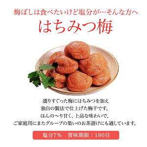 楽天市場 プロサッカーチームも食している梅干しはちみつ福梅ぼし個包装 1個 Asrk Ninki Item コンビニ受取対応商品 店頭受取対応商品 あす楽対応 お取り寄せ グルメ 梅ぼしの福梅 楽天市場店