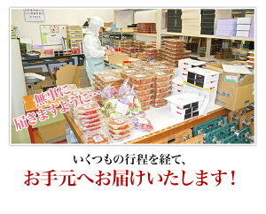 訳あり梅干し【送料無料】規格外あっさりはちみつ1kg(約50〜60粒)塩分約7%食品福梅ぼし紅映梅わけありバニリン