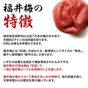 訳あり梅干し【送料無料】規格外あっさりはちみつ1kg(約50〜60粒)塩分約7%食品福梅ぼし紅映梅わけありバニリン