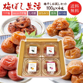 送料無料 　梅干し生活　選べる組合せ　福梅ぼし梅干し食べ比べセット各100gx4味 うす塩 無添加しそ漬 はちみつ 昆布 かつお 甘仕立てうす塩味/食べ比べ/ご飯のお供/酸っぱい/福井県産紅映梅/国産 お取り寄せ グルメ