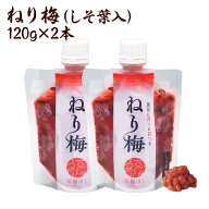 【無添加】 送料無料 無添加ねり梅（しそ葉入）120g×2個セット　国産梅　国産うめ　ねり梅(練り梅) /調…