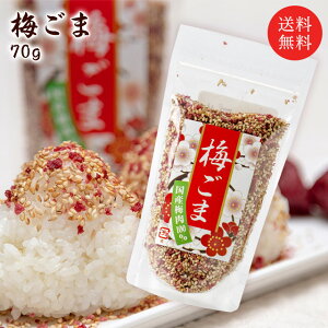 ~70gilR|Xł͂jisjiԎwsj  O