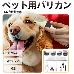 y10_SETIzybgpoJ  L p Lp [d  ւn R[hX g~Op O[~OoJ Zt Jbg 120Agp\   