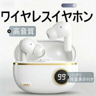 ワイヤレスイヤホン【SD限定45%ポイントバック&レビュー特典】bluetooth HiFi 高音質 マイク内蔵 Siri対…