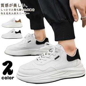 Xj[J[ jOV[Y EH[LOV[Y C Y L  3e V[Y X|[cV[Y  WMOV[Y  ʋ ʊw UO jO g[jO AE