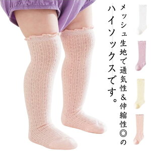 4Zbg C xr[ t ~ nC\bNX V[X[ bV LbY xr[\bNX LbY\bNX \bNX  Rbg V  j̎q ̎q t LbYC xr[C q