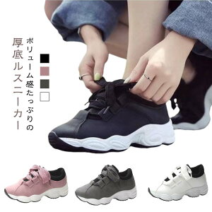  Xj[J[ Xj[J[ fB[X _CGbgXj[J[ EH[LOV[Y C y JWAV[Y EH[LOV[Y C V[Y ꂢ  ₷ V