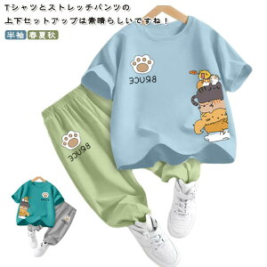 q W[W ZbgAbv X|[cEFA ㉺Zbg LbY ̎q j̎q gbvX {gX  Opc ďtH Y{ ^ g[jOEFA ʊw  ACXVN 