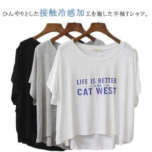 TVc fB[X  JWA ⊴ h} gbvX Jbg\[  eB[Vc 傫TCY {[glbN ڐG⊴ N[ ₽  Ђ h}X[u t