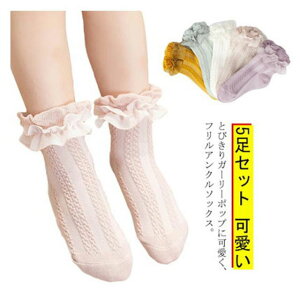 Ǝ zCg 5Zbg \bNX t C V[g\bNX sN ؍ AN\bNX tH[} q LbY  [X\bNX   xr[C  