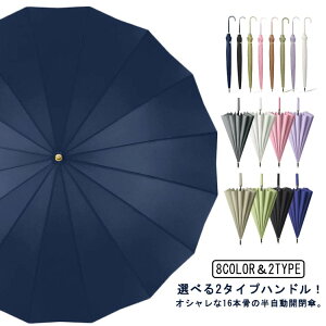 P fB[X 16{ 傫 v y JP P Y Jp 16{ OXt@Co[ ܂Ƃߔ WvP y  jAXJ[ gh v[g Mtg ̓ hV