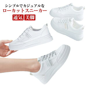 fB[X V[Y Xj[J[ [Jbg ^C    킢 lC tďH ʋC JWA 傫TCY Vv y r y ʋ ʊw