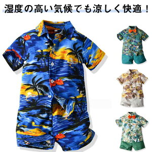 q LbY An j̎q Vc ZbgAbv  ㉺Zbg AnVc ԕ ǂ WjA  n[tpc   90 ㉺ LbYt@bV  ĕ An