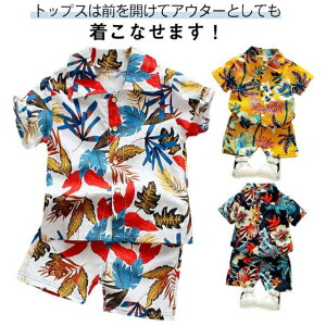 j̎q An  AnVc nC r[`EFA xr[  ZbgAbv V[gpc JWA  q Ђ xr[X[c V[gpc LbY 80 90 100 110 ㉺