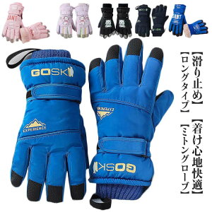 q XL[   LbY  j̎q  ̎q q V Xm[O[u WjA XL[O[u XL[ N h 5{w h H   a 4 6 