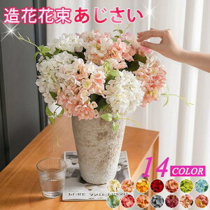 o^C  2_ CeA t[  G i`  ԑ u[P tFCNO[