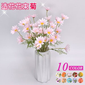 o^C e CeA t[  G i`  ԑ u[P tFCNO[ v[