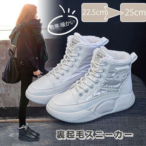 [gu[c fB[X ~ h h N ϖ  Xj[J[ N hC h ۉ _bhXj[J[ ~p y  