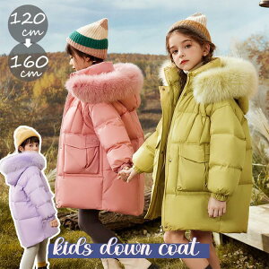 _ER[g LbY q R[g AE^[ WjA _EWPbg _E LbY ̎q j̎q q t[ht   h h  AEghA