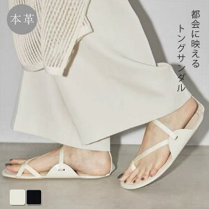 T_ fB[X ؂ ₷ gOT_ r[`T_ [q[ r[T RtH[g s Ȃ ɂȂ y  킢