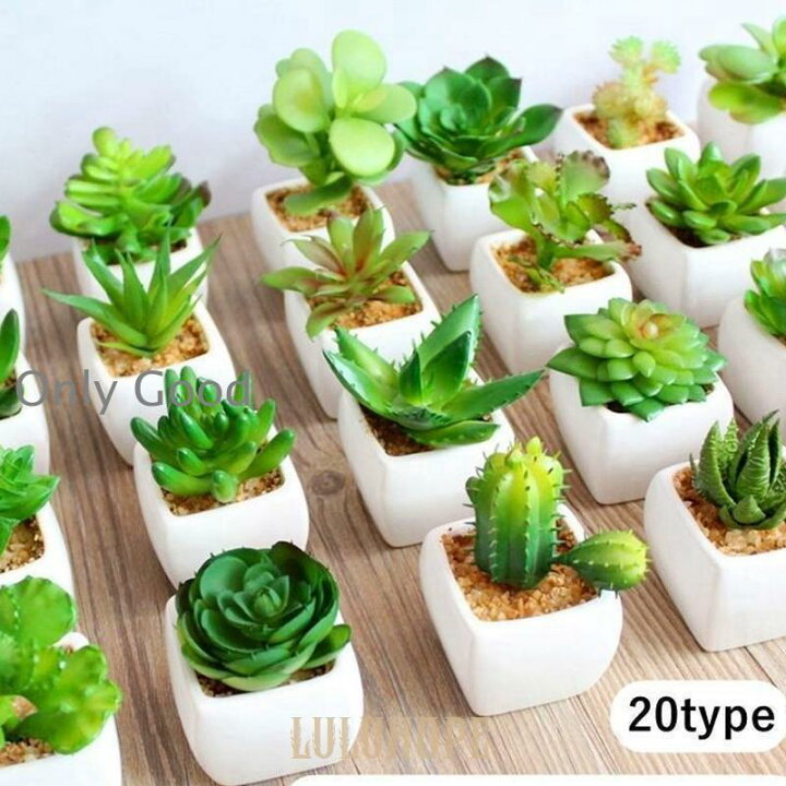 楽天市場】人工観葉植物 フェイクサボテン フェイクグリーン 造花 