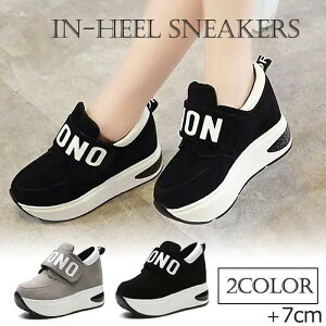 Xj[J[ fB[X Cq[ V[Y Xb|  tbg [Jbg pS     20 30 40 50 ʋ ʊw