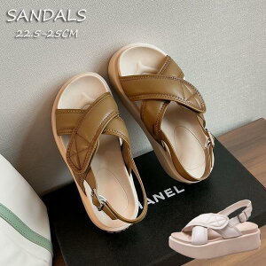 6cm T_ fB[X ₷ y ItBX ؂ NbO ~[ tbg T_ C JWA Mtg C W[g T{  