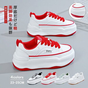 Xj[J[ fB[X C X|[cV[Y V[Y ~ h r r ₷ Ȃ ɂȂ ʋC Vv ʋ ʊw 