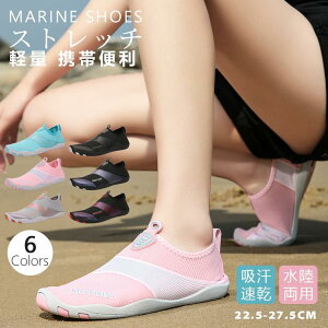 }V[Y p EH[^[V[Y Y fB[X tBbglX y  ނ W[ V v[ X|[c AEghA