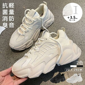 Xj[J[   fB[X    WjA 22 23 25cm LbY ̎q 22Z` Xj[J[ 23cm LbY j̎q  ؍ Cq[