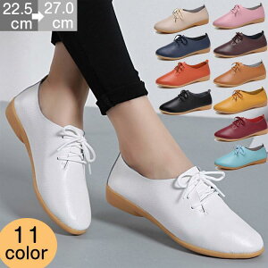 [XAbv V[Y fB[X tbg I[V[Y IbNXtH[h }jbV Gi X[X C ᔽ [XAbv 