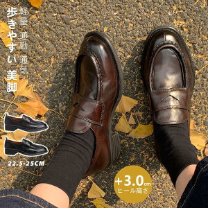 ���[�t�@�[ �C ���f�B�[�X ���E���h�g�D 3cm�q�[�� �{�v �G�R���U�[ �R�� ���L �y�� �_�炩 �炭���� �V���v�� ����~�� �_�炩�� ���d�� �ʊw �ʋ� ���Ǝ� �A��