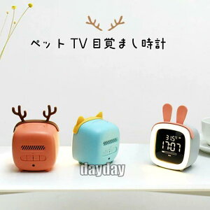 ڊo܂v uv fW^  iCgCg NbN AeB[N fW^v iCgCg LN^[ 킢 AiO k v[g ~