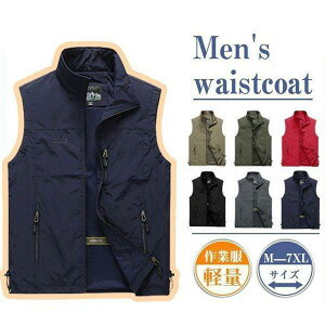 xXg Y t  bV  ނxXg jp _ d fB[X AEghA ʋ oR OJ @~^[ H