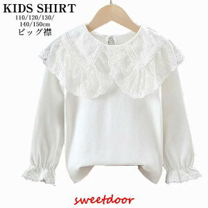 q LbY uEX ̎q Vc   ̎q qǂ WjA Vc t rbO [X̋ `[ tH[} uEX  w 