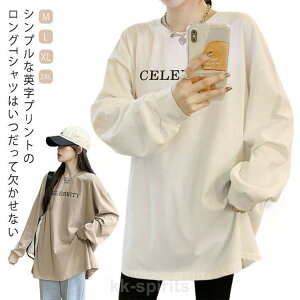 TVc eB[Vc fB[X OtVc gbvX T KB tVc p vg 傫TCY OtVc [